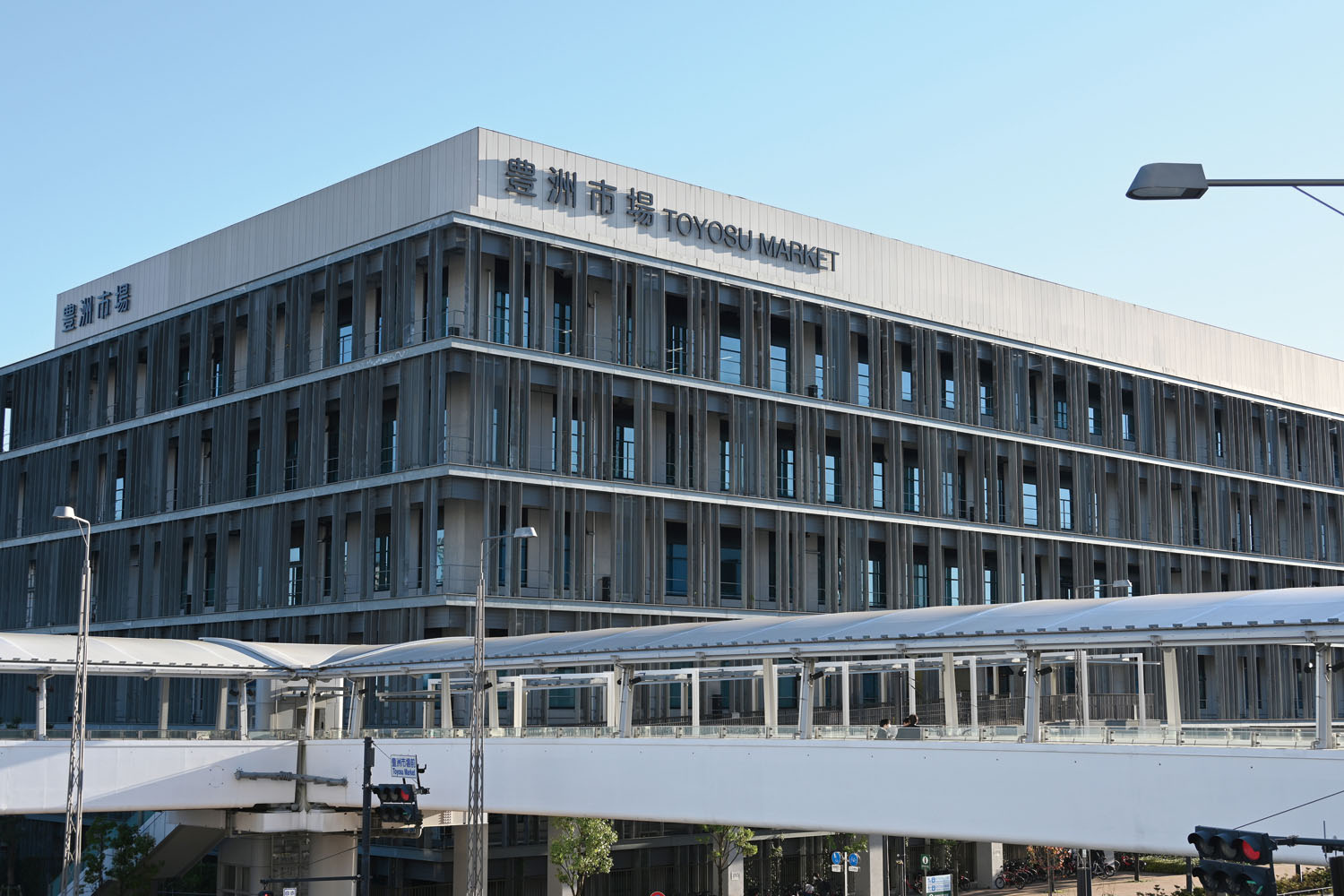 豊洲市場 コミケ 食事