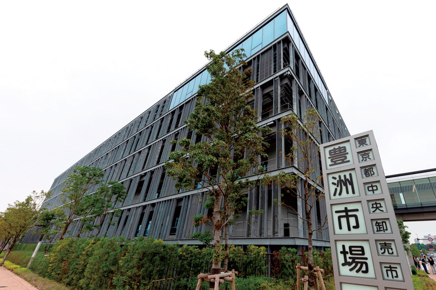 豊洲市場 生鮮食品 飲食街