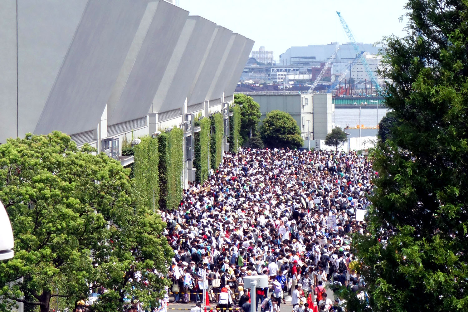 C100 夏コミ 待機列 コミケ