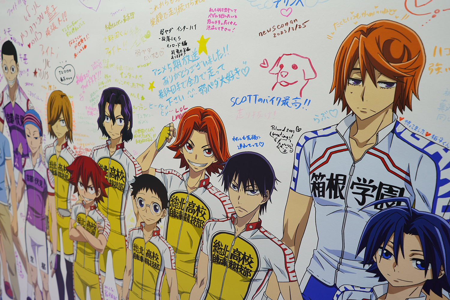 AnimeJapan 2023 TOHO animation 弱虫ペダル