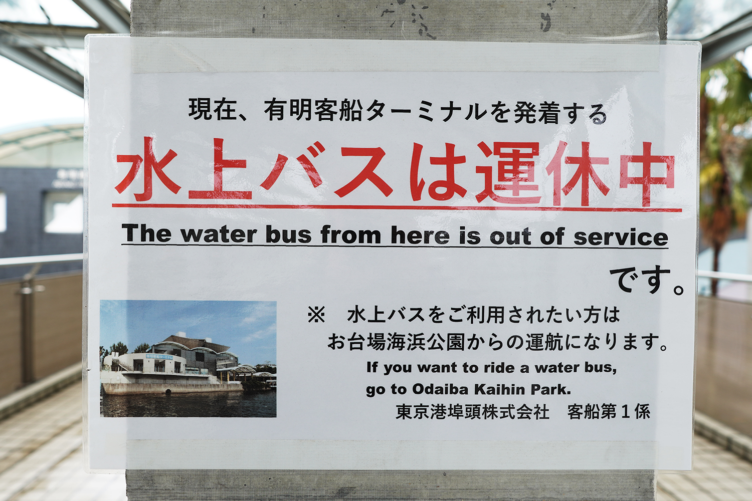 東京クルーズ 現地