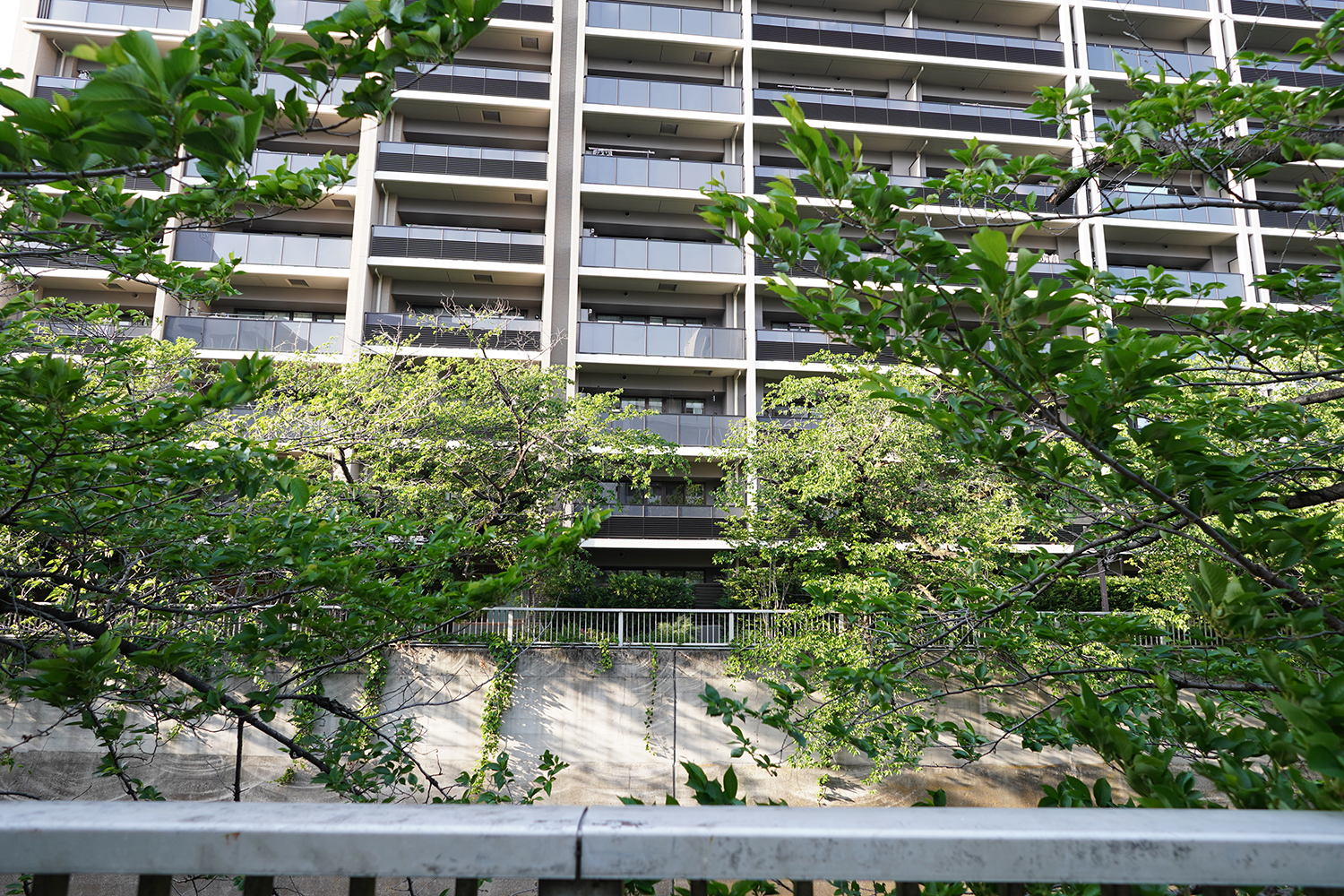 聖地巡礼 バンドリ 川沿い