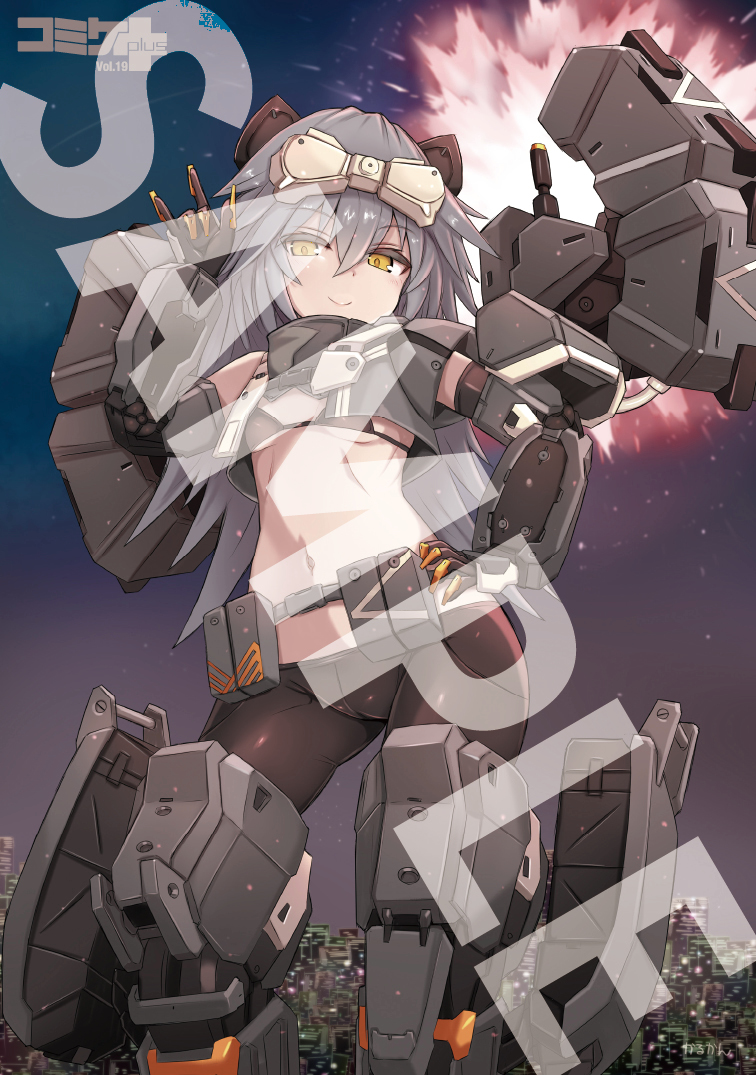 コミケPlusVol.19 ポストカード アニメイト