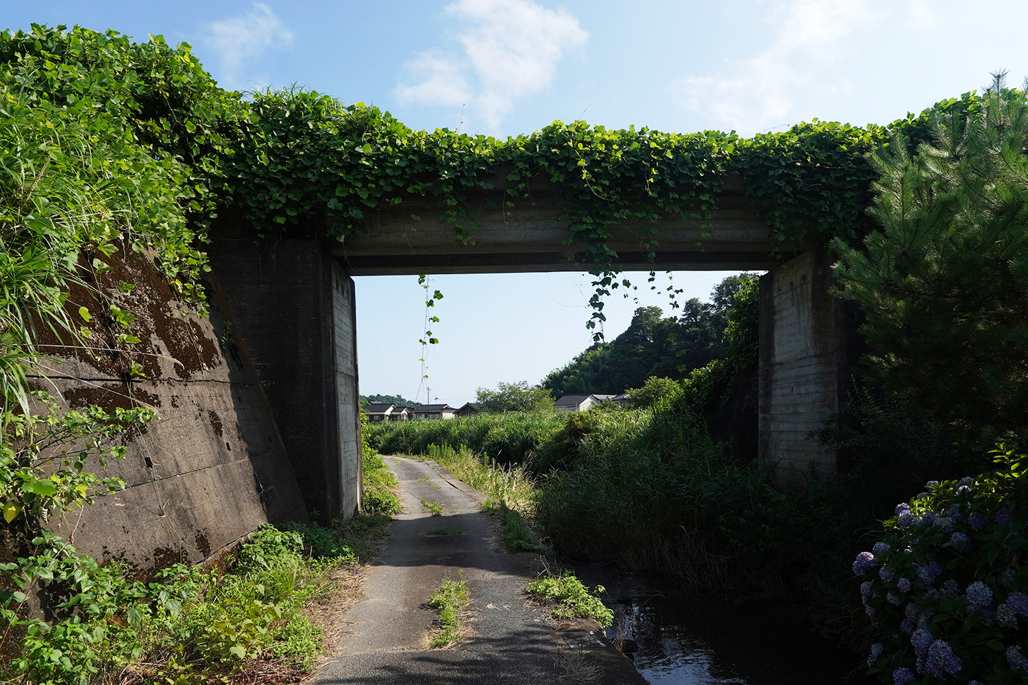 君は放課後インソムニア 聖地巡礼 真脇遺跡