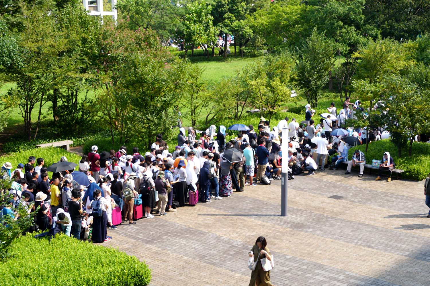 コミケ C102 夏コミ 入場ルート コミケPlus