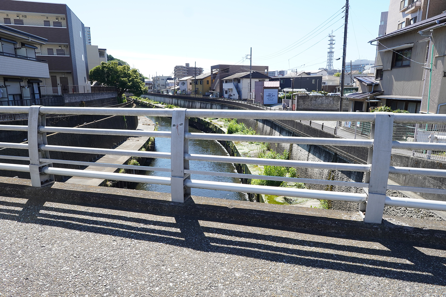 聖地巡礼 青春ブタ野郎シリーズ 大正橋