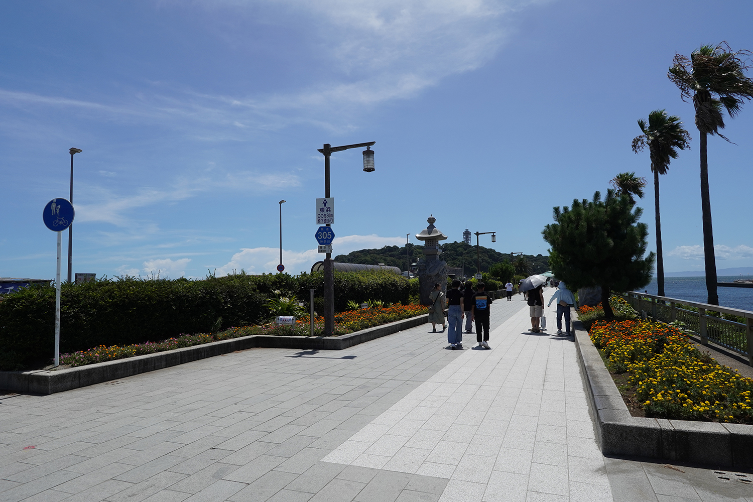 聖地巡礼 青春ブタ野郎シリーズ 弁天橋