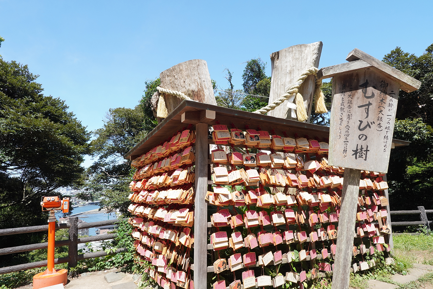 聖地巡礼 青春ブタ野郎シリーズ 江ノ島