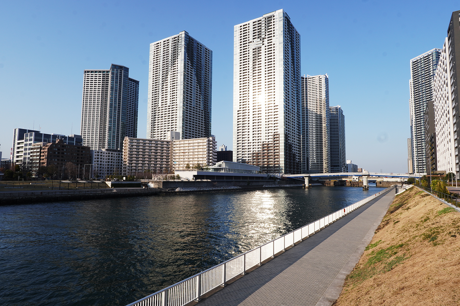 東京BRT 選手村ルート