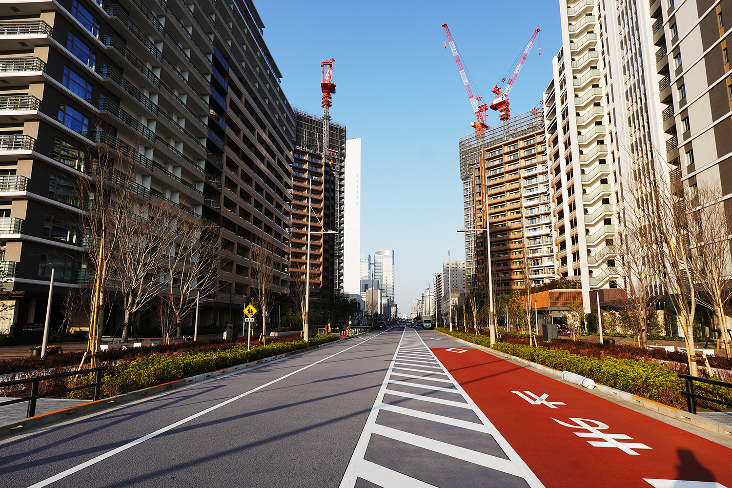 東京BRT 選手村ルート