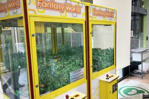 ポンポコ宮本 カードショップポンポコ ポケカ ワンピ