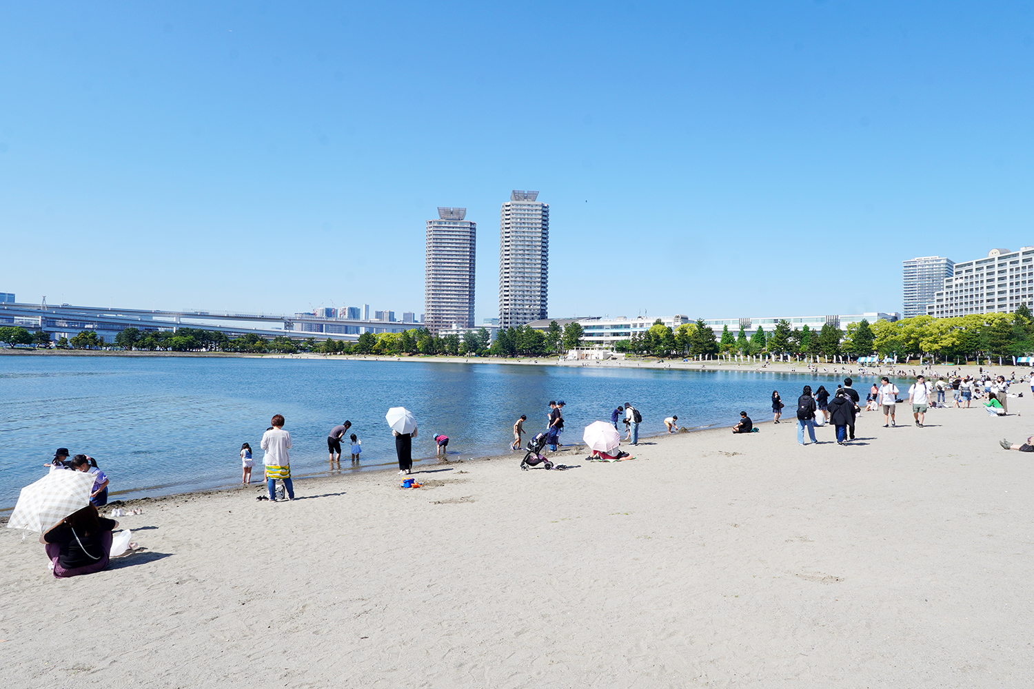 聖地巡礼 夜のクラゲは泳げない