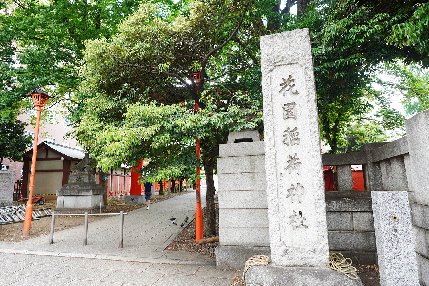 聖地巡礼 夜のクラゲは泳げない