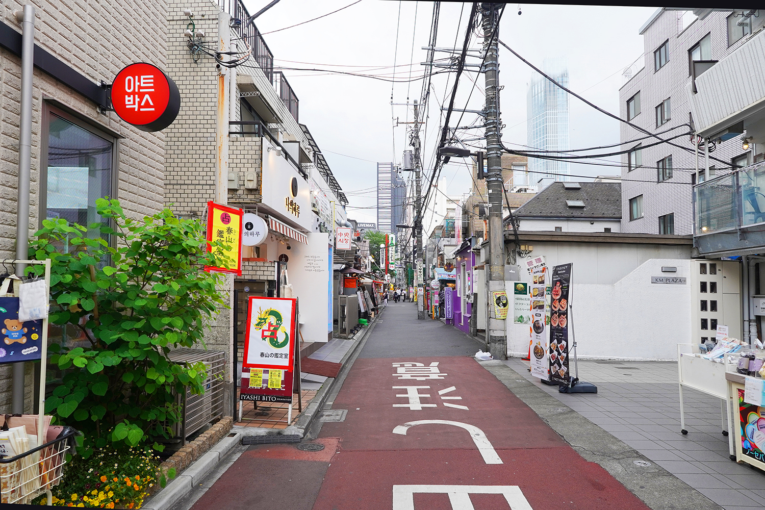 聖地巡礼 夜のクラゲは泳げない