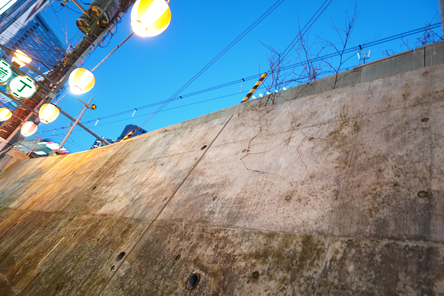 聖地巡礼 夜のクラゲは泳げない