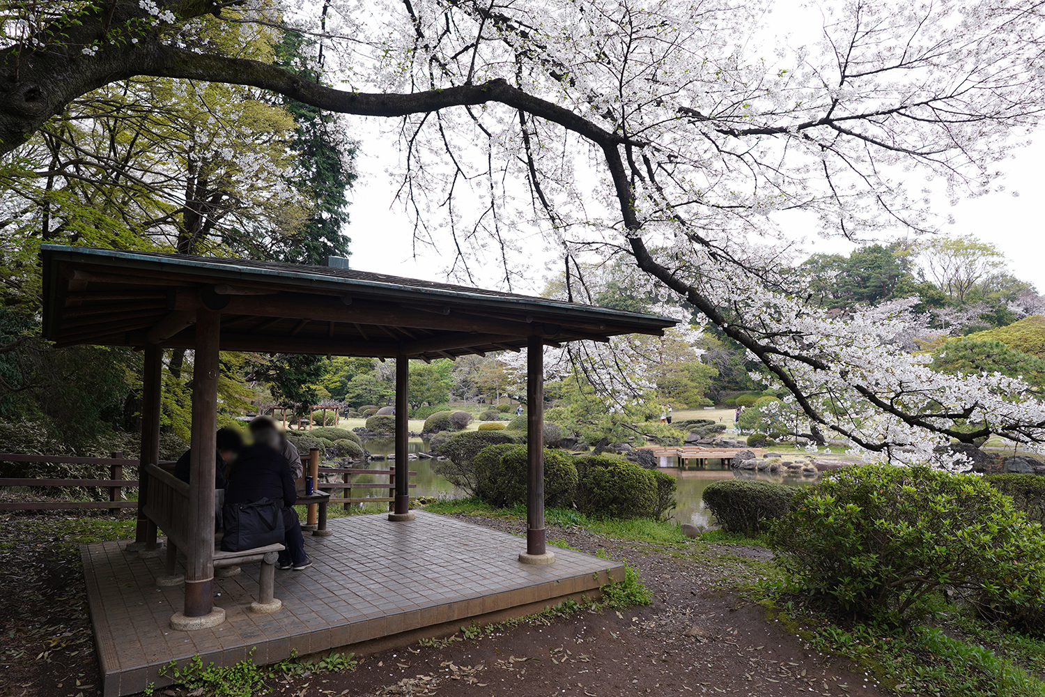 聖地巡礼 言の葉の庭