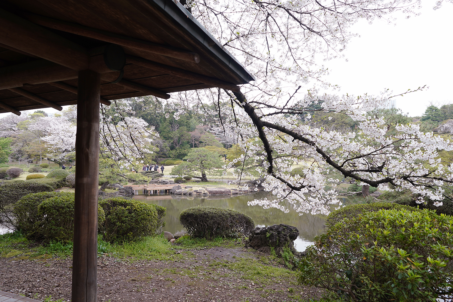 聖地巡礼 言の葉の庭
