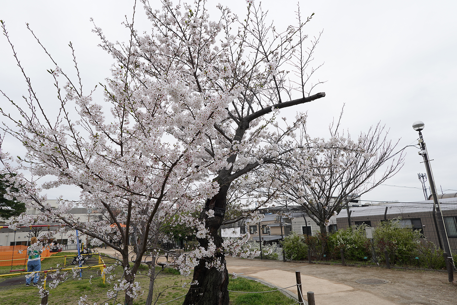 聖地巡礼 秒速5センチメートル