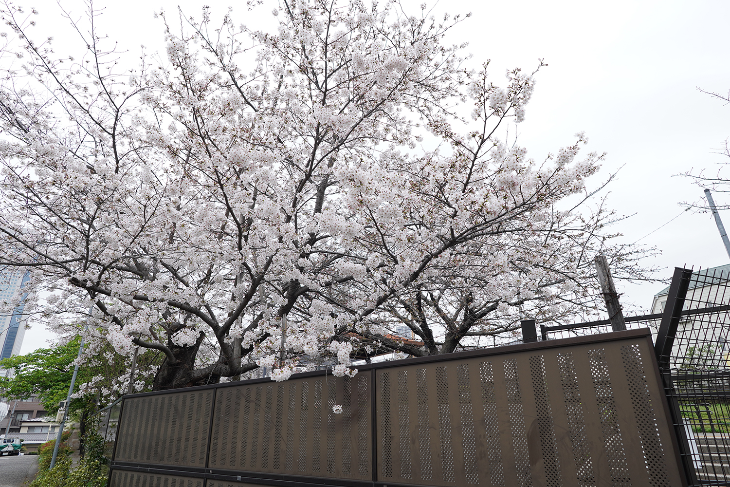 聖地巡礼 秒速5センチメートル