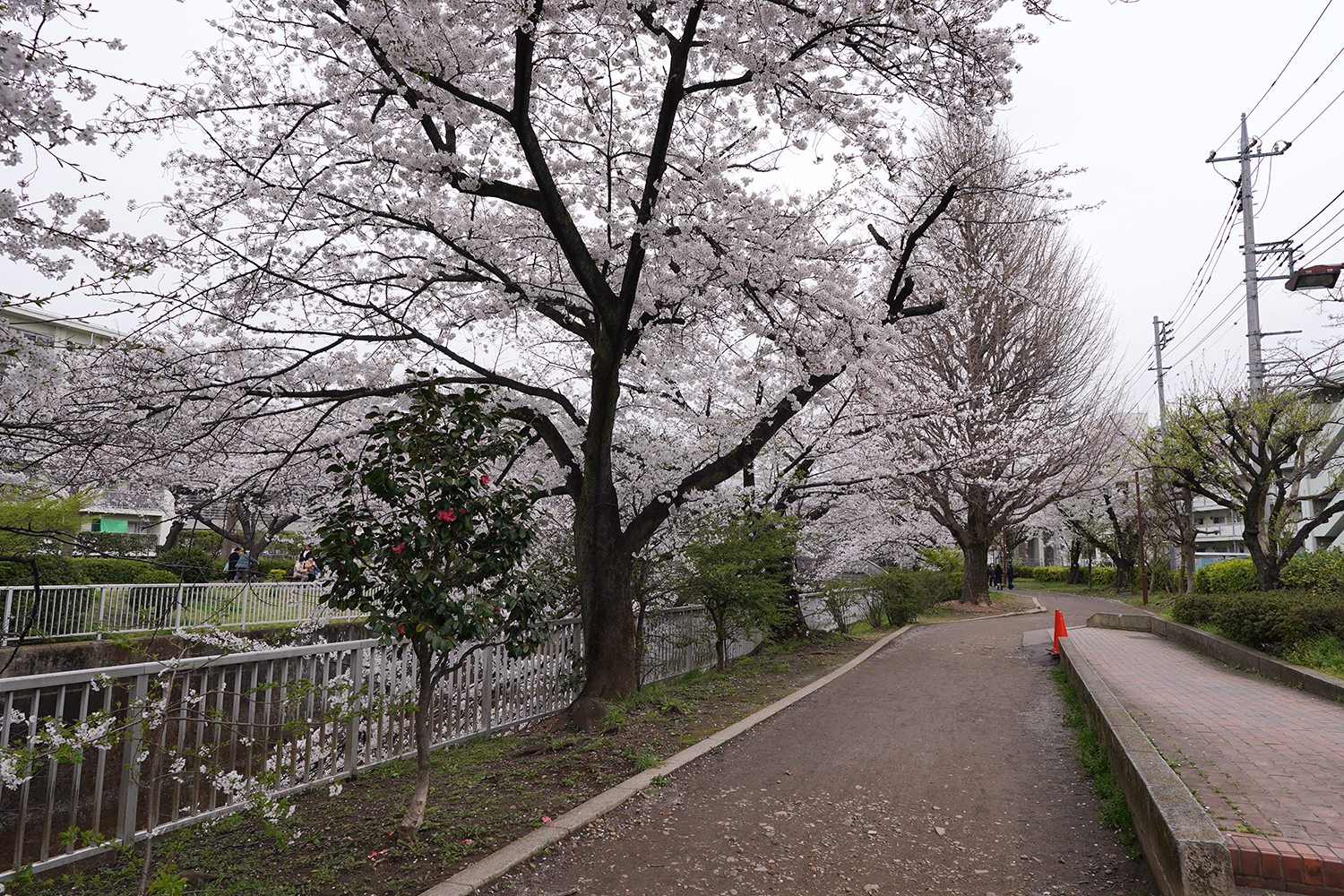聖地巡礼 四月は君の嘘