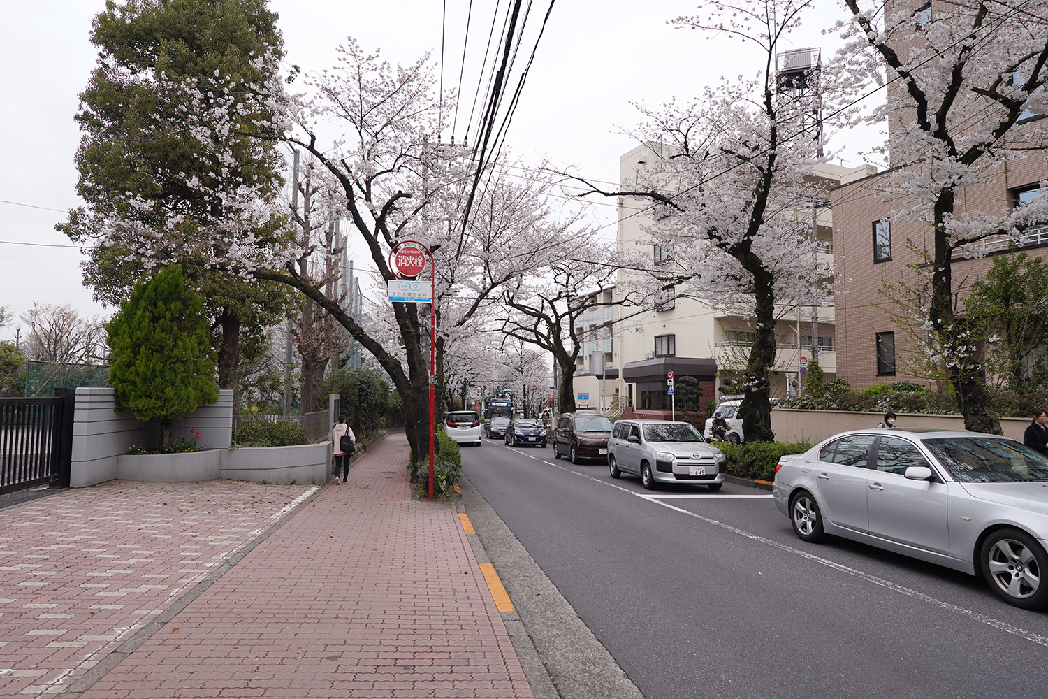 聖地巡礼 四月は君の嘘