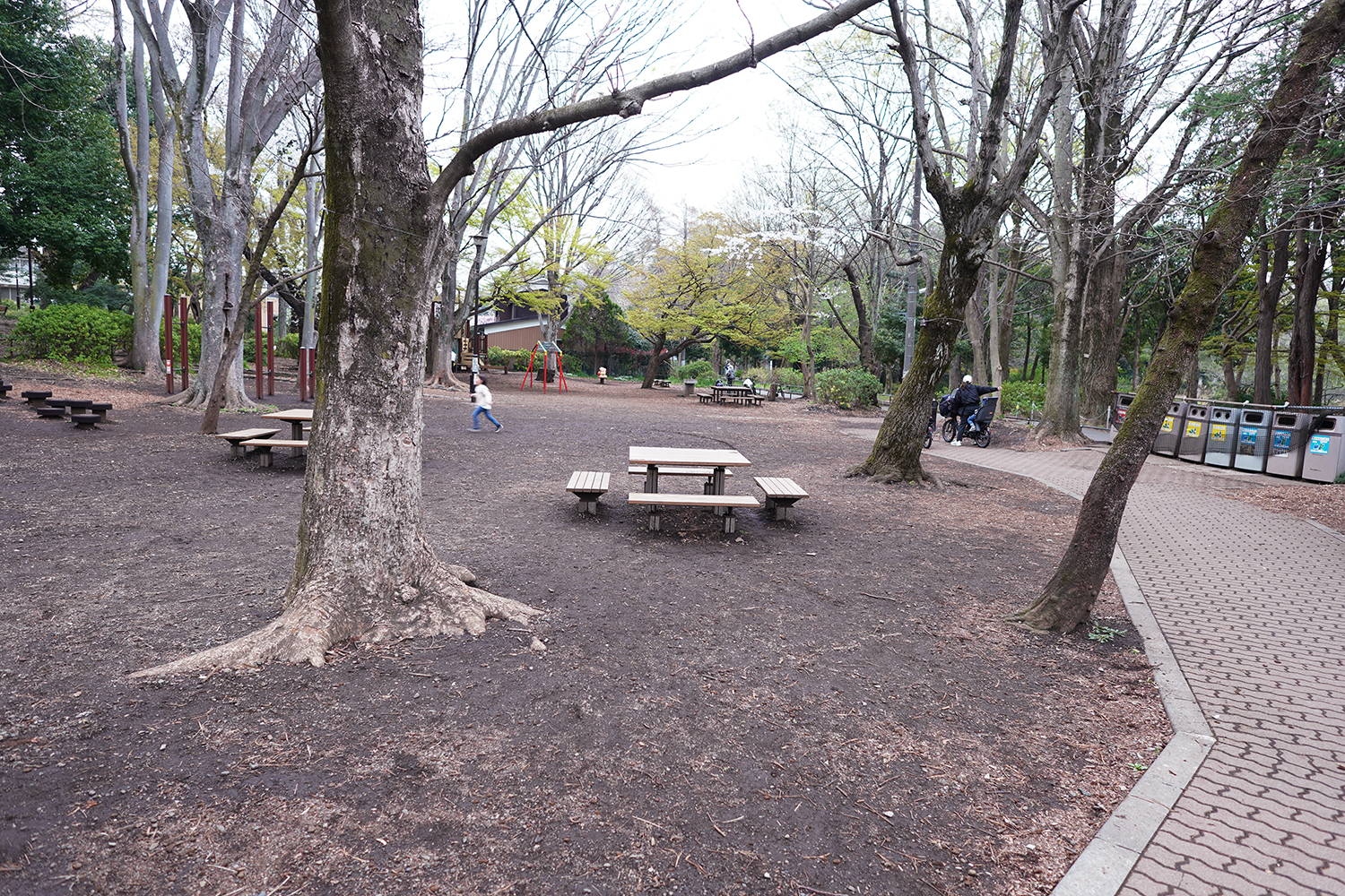 聖地巡礼 四月は君の嘘