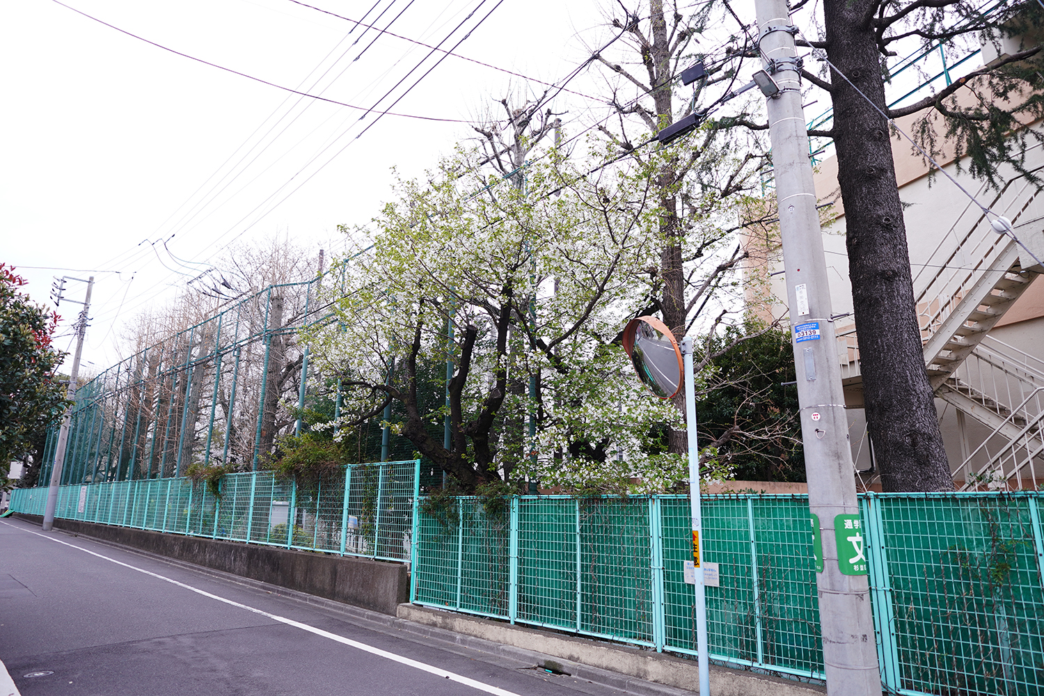 聖地巡礼 四月は君の嘘