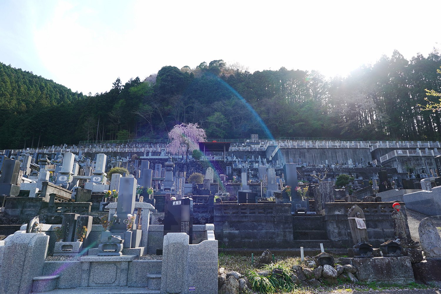 聖地巡礼 終末トレインどこへ行く?