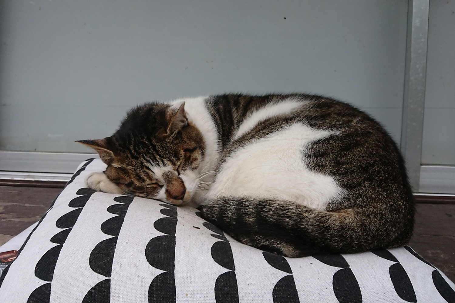 聖地巡礼 おねがいティーチャー