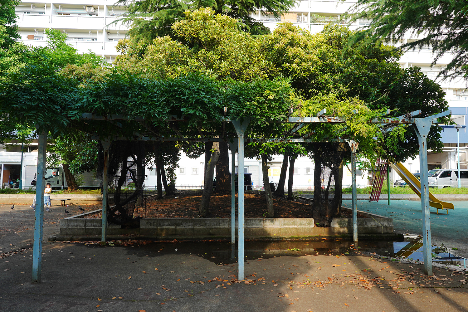 ガールズバンドクライ 聖地巡礼