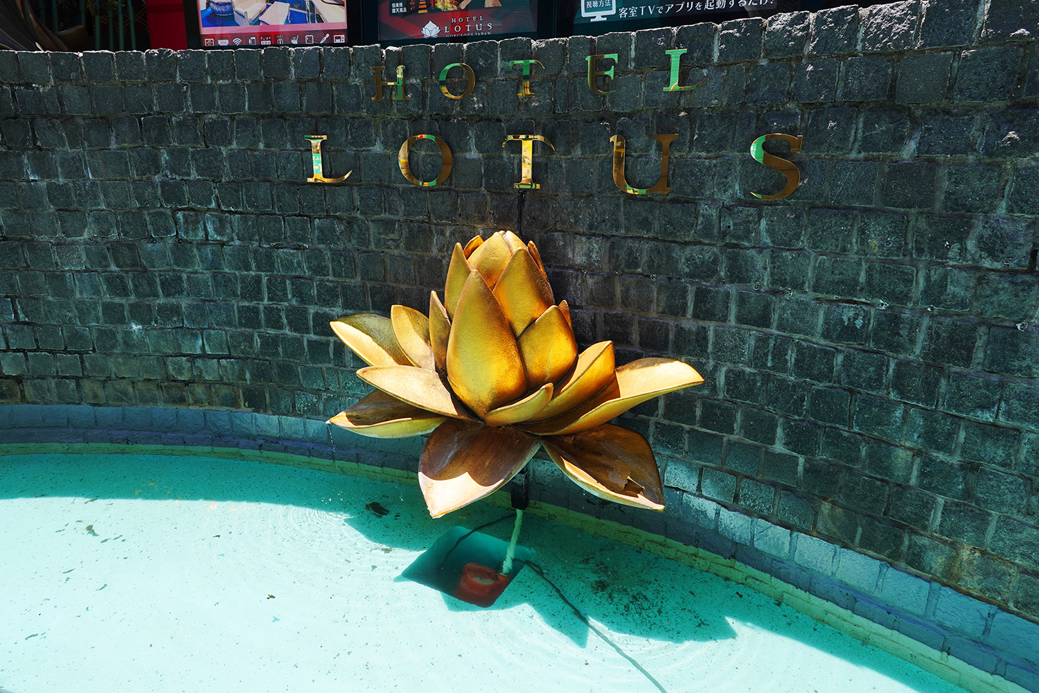 聖地巡礼 夜のクラゲは泳げない