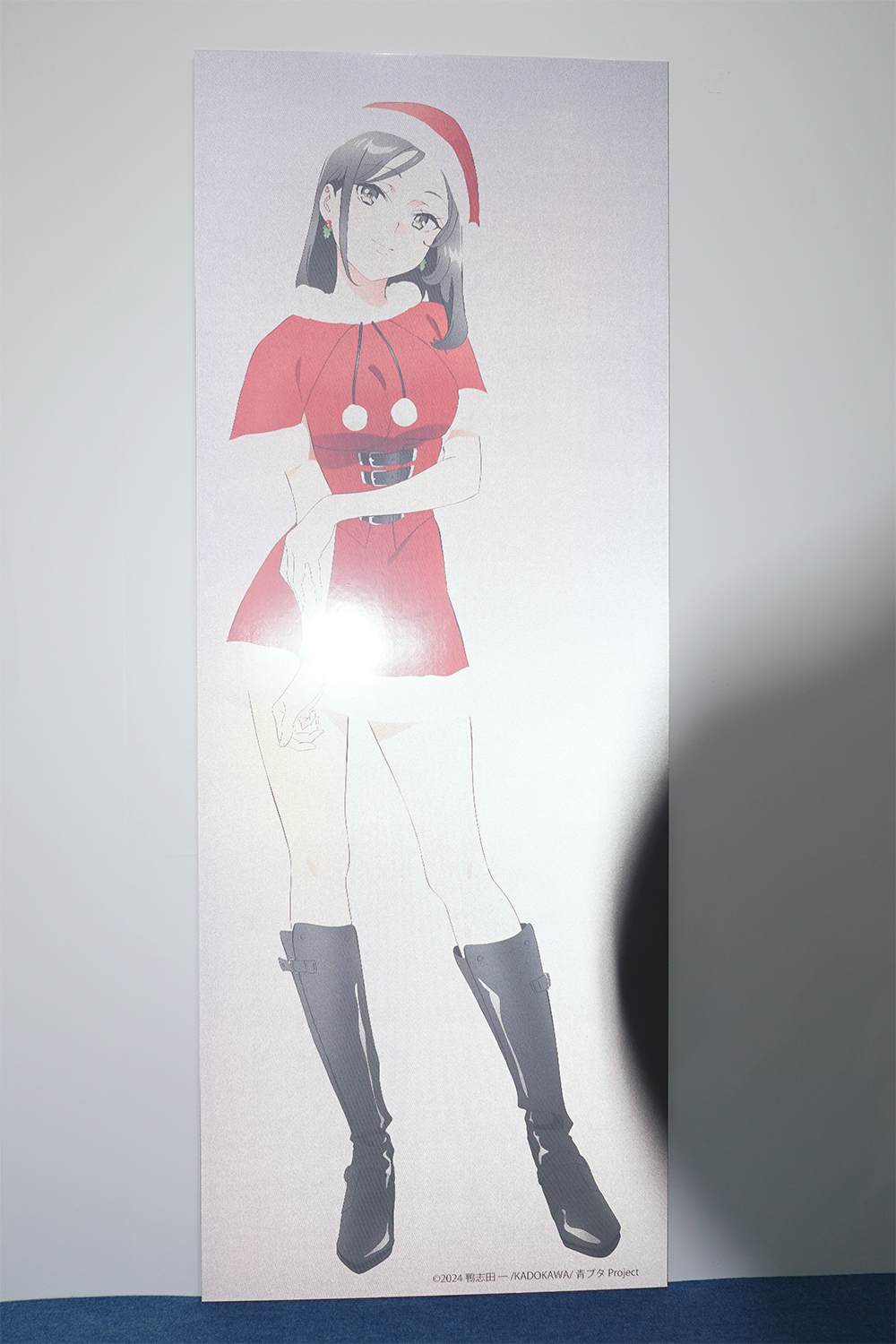 AnimeJAPAN 2025 アニプレックス