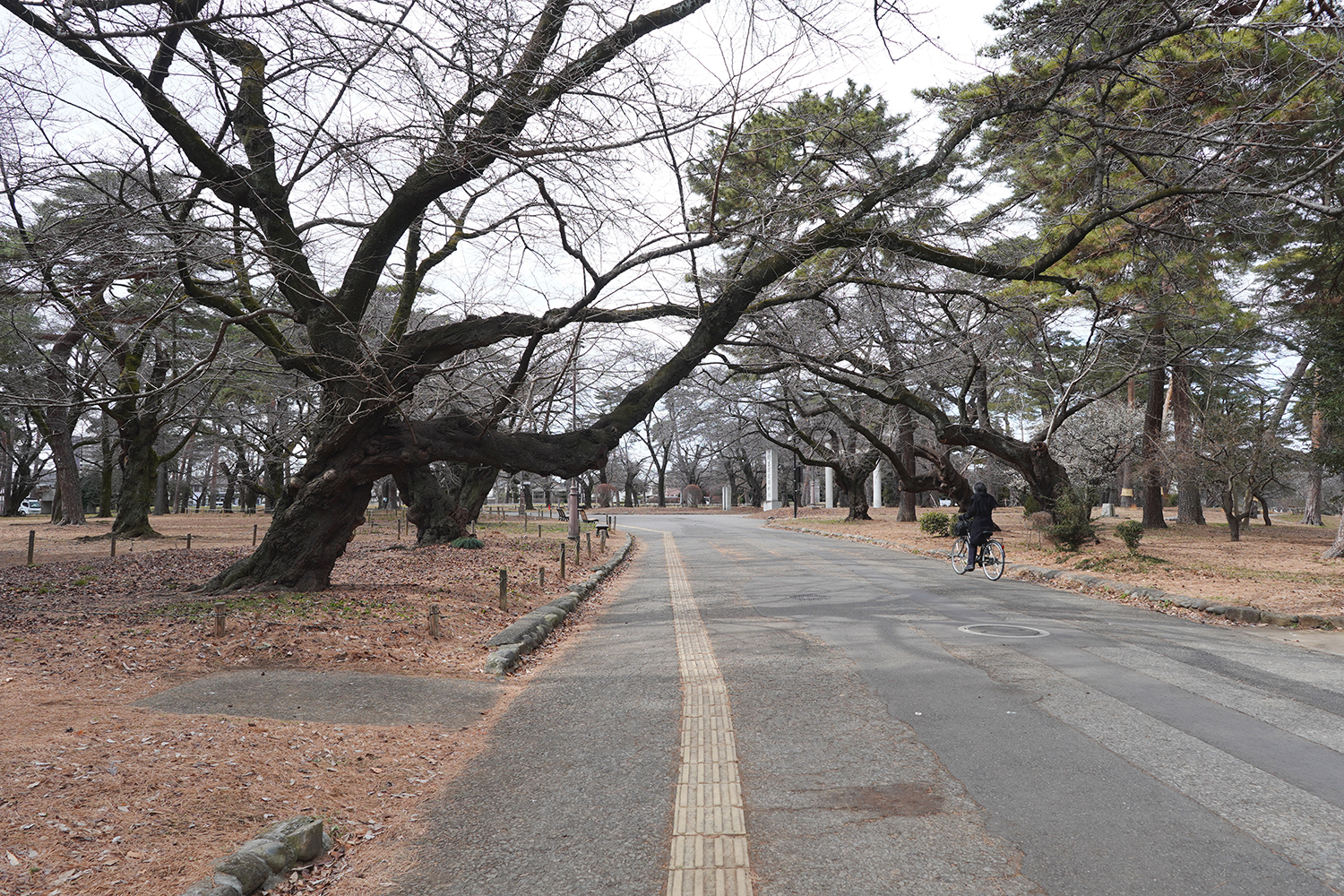 その着せ替え人形は恋をする2期 聖地巡礼