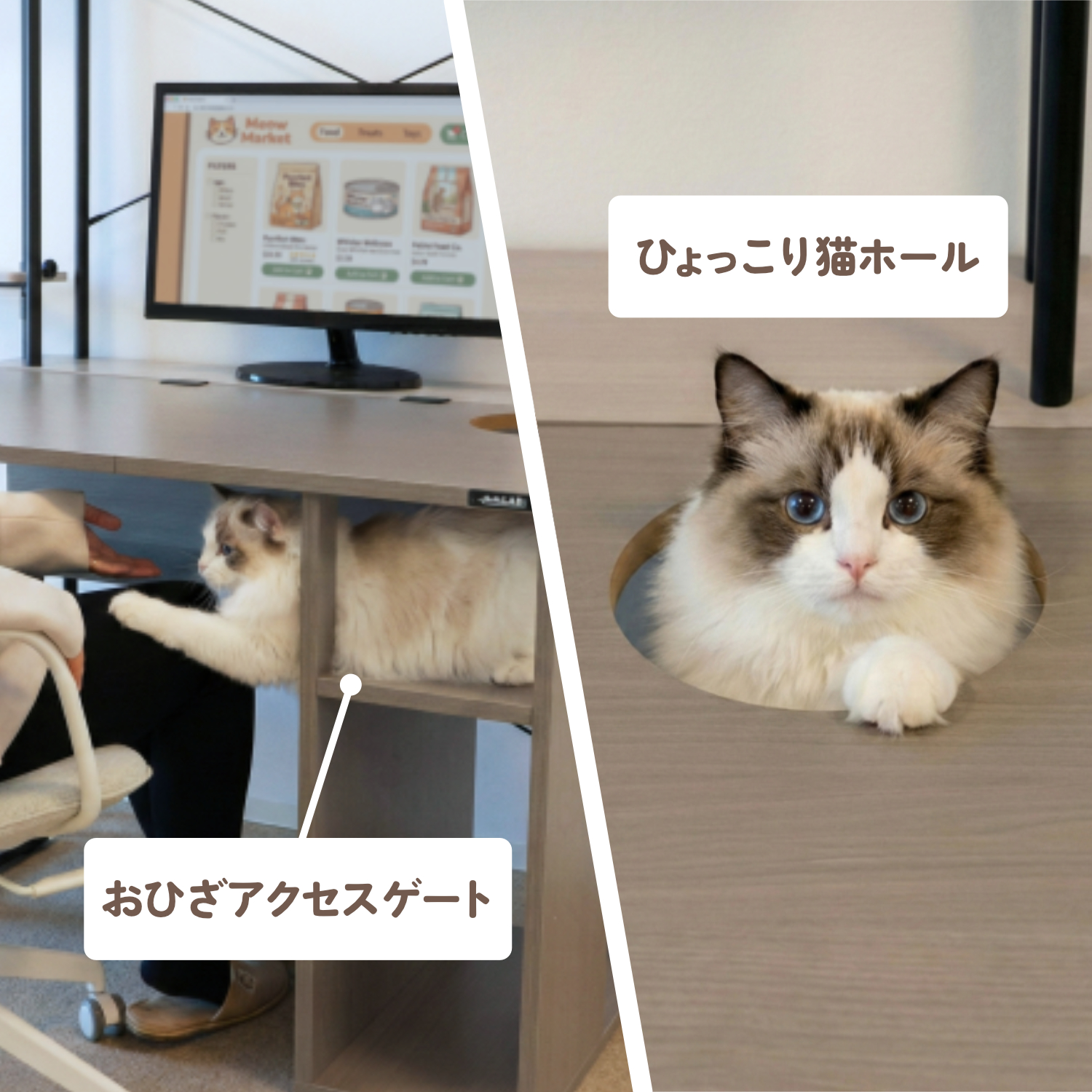 猫ハウスデスク